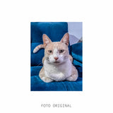 COLLAR COMPAÑERO - FOTOGRABADO